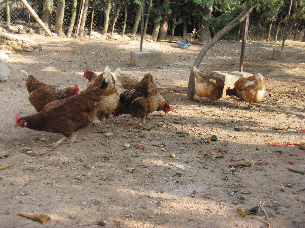Finca Los Pinos 호텔 Villanueva del Rosario 외부 사진
